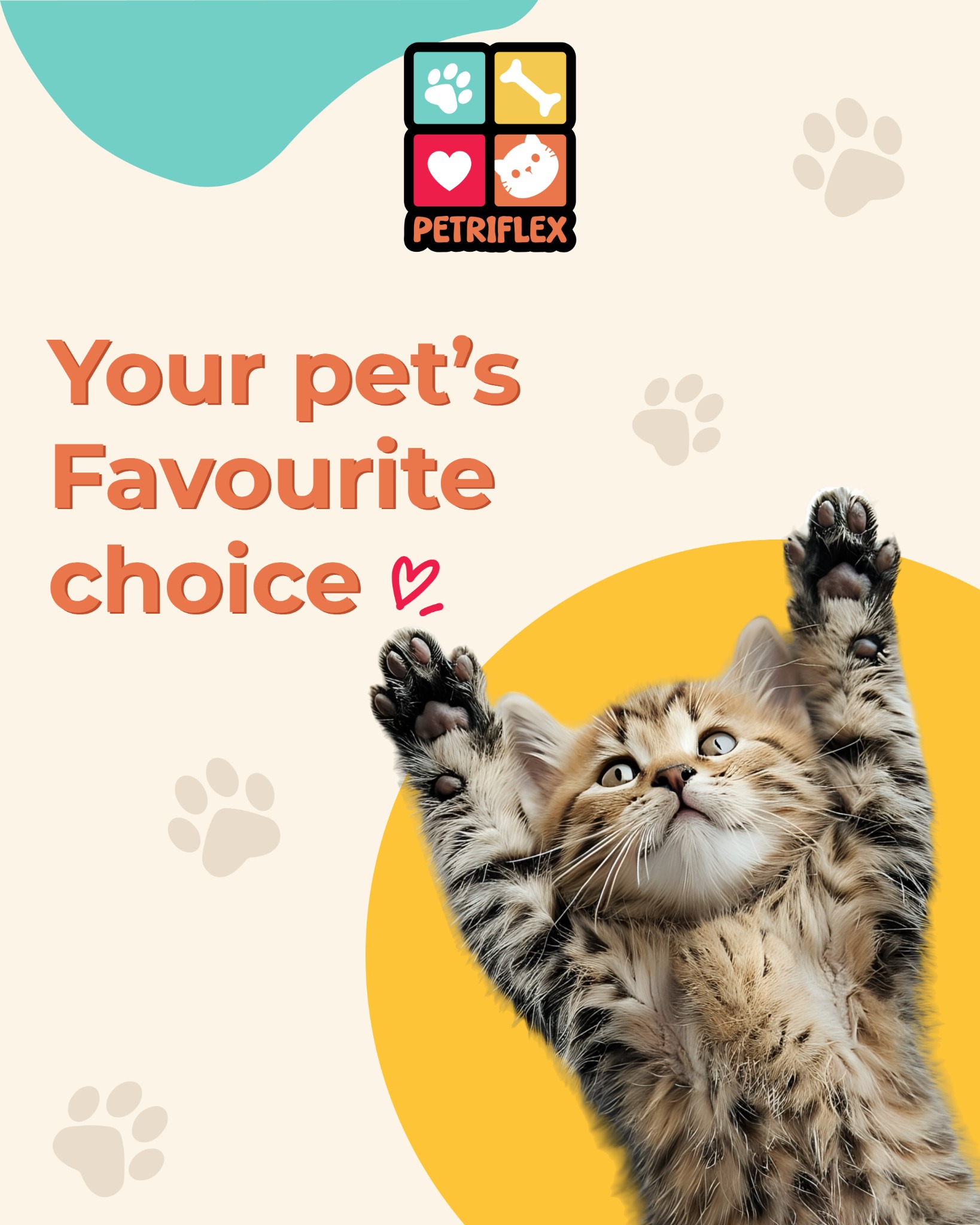 A playful PETRIFLEX cat visual